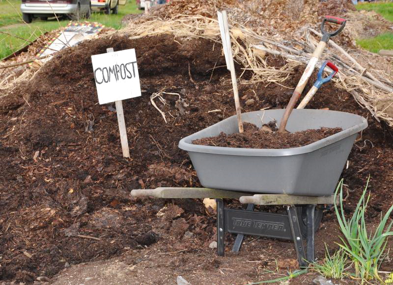 What Soil To Put In Compost Bin at Cynthia Soto blog