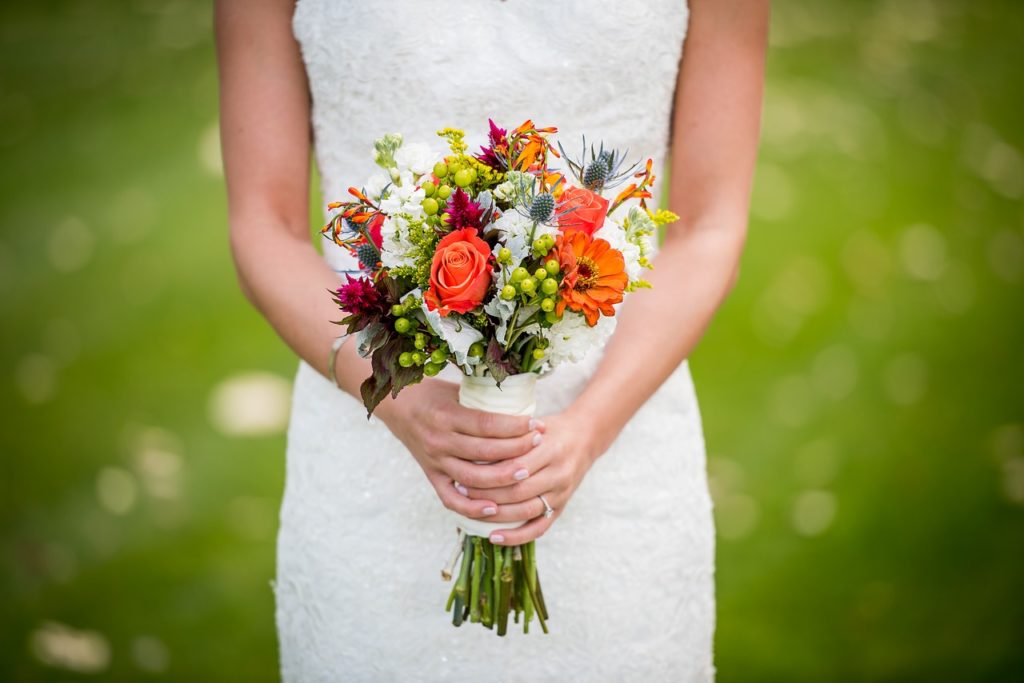 What Do The Different Colors Of Flowers Mean The Plant Guide