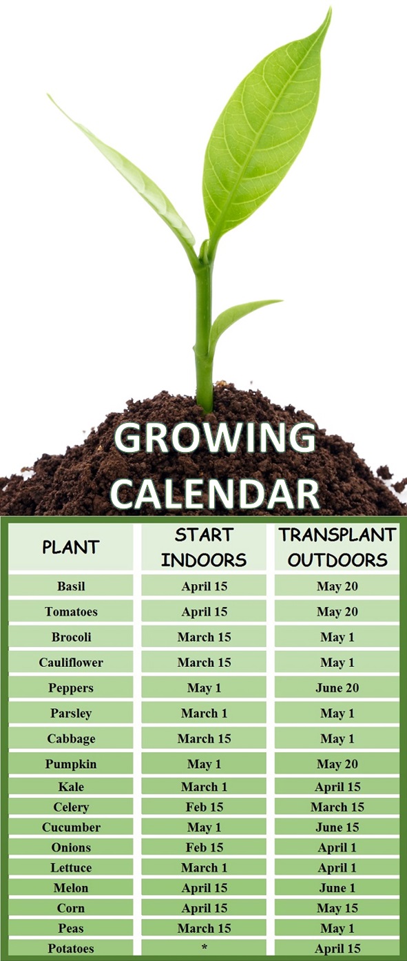 Growing Calendar When To Plant Your Vegetable Garden The Plant Guide