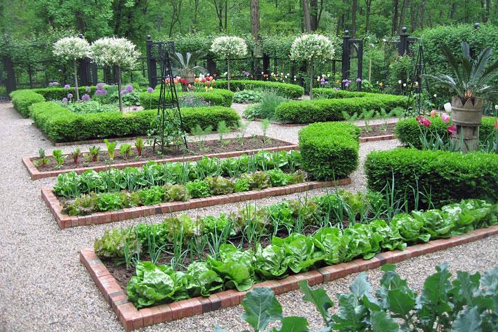kitchen garden planner for chicago