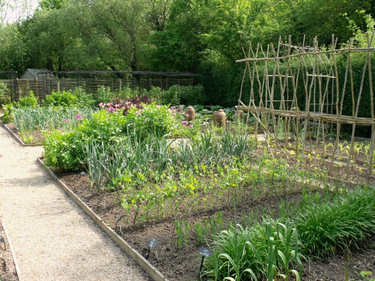 kitchen garden yield planner