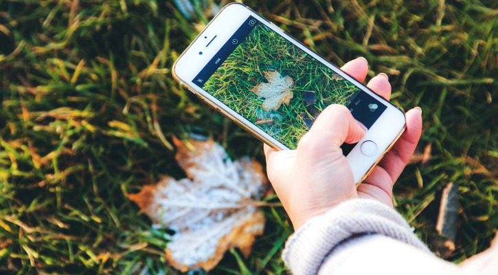 The Best Identification Apps The Plant Guide