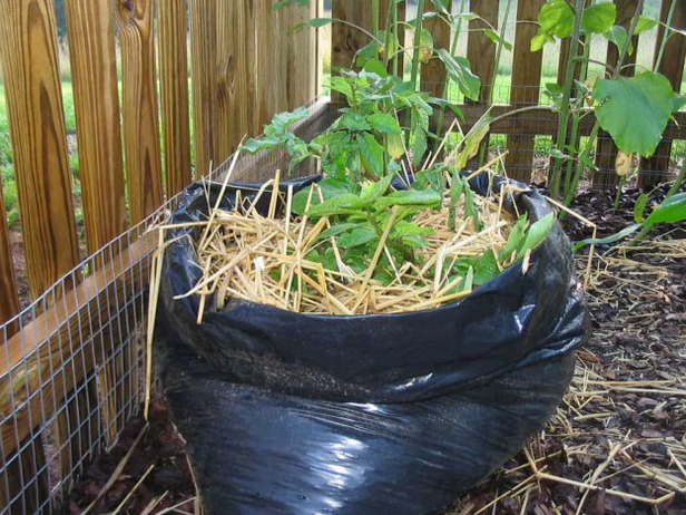 How to Grow Potatoes in a Bag