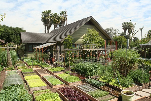 Permaculture Garden Produces 7000 Pounds of Organic Food Per Year